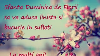 mesaje, urări, felicitări Florii 2022