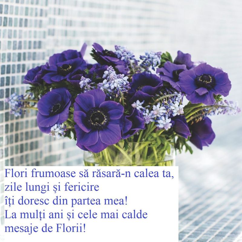 mesaje, urări, felicitări Florii 2022