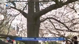 Primăvara - sezonul alergiilor