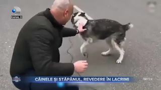 C&acirc;inele și stăp&acirc;nul, revedere &icirc;n lacrimi