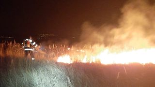  O pădure din Vrancea este în flăcări. Pompierii s-au luptat ore bune cu focul