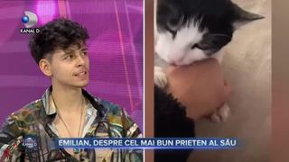Emilian și motanul său, prieteni la cataramă
