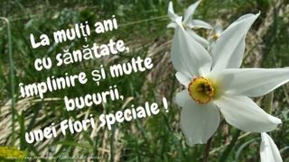 La mulţi ani de Florii 2022: Mesaje, urări şi felicitări pentru toţi cei care poartă nume de floare