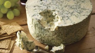 Br&acirc;nză cu mucegai