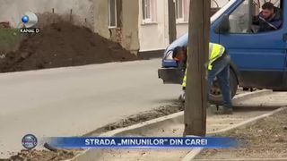 Strada &rdquo;minunilor&rdquo; din Carei