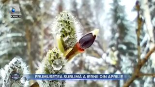 Frumusețea sublimă a iernii din aprilie