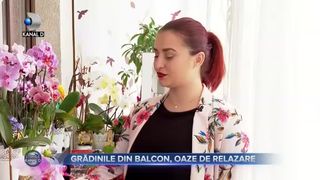 Grădinile din balcon, oaze de relaxare