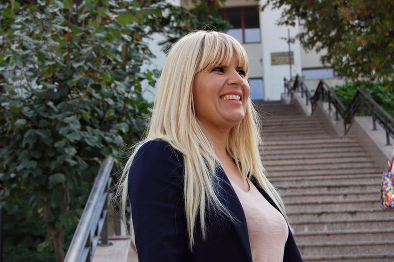 Elena Udrea dosare pe rol