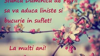 Imagini cu text pentru Duminica Floriilor