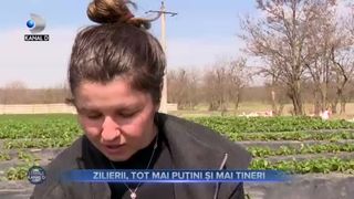 Zilierii, tot mai pușini și mai tineri