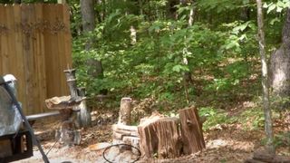 Poți să găsești animalul ascuns în această poză? Dacă reușești, IQ-ul tău e peste medie