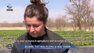 Zilierii, tot mai puțini și mai tineri