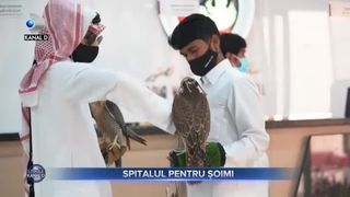 Spitalul pentru șoimi