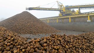 Industria de zahăr din Rusia s-a dublat.  Producătorii sunt obligați să depoziteze zahărul în aer liber