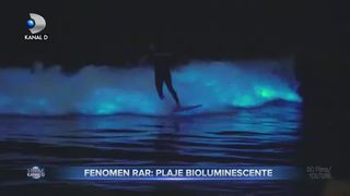 Fenomen rar - plaje bioluminescente