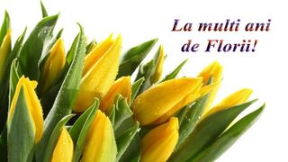 mesaje de florii