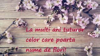 mesaje de florii