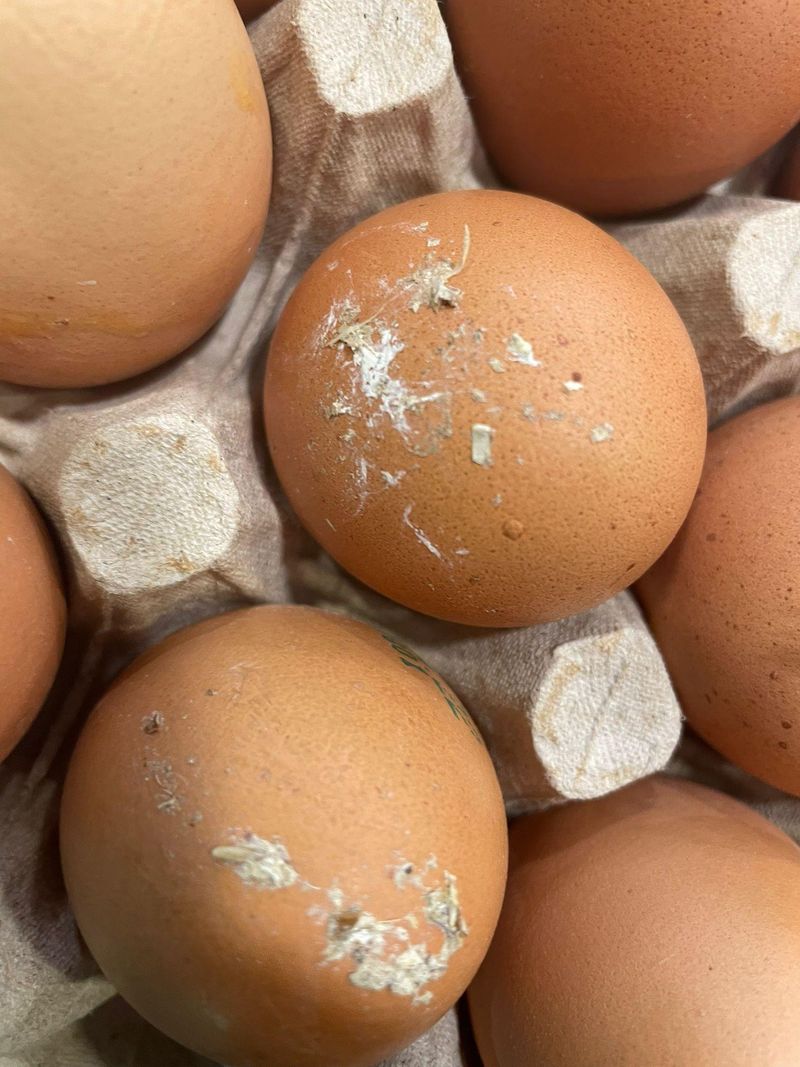 Anchetatorii ANPC au descoperit în magazine ouă sparte, murdare de excremente şi expirate