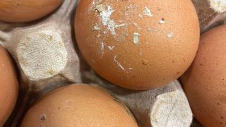 Anchetatorii ANPC au descoperit &icirc;n magazine ouă sparte, murdare de excremente şi expirate