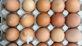 Anchetatorii ANPC au descoperit &icirc;n magazine ouă sparte, murdare de excremente şi expirate