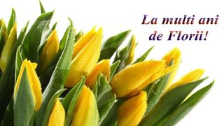 urări de Florii