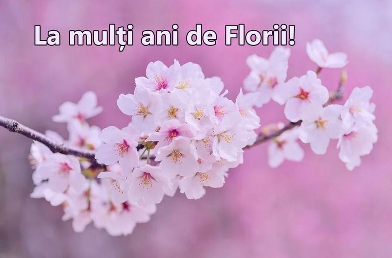 felicirăei de florii