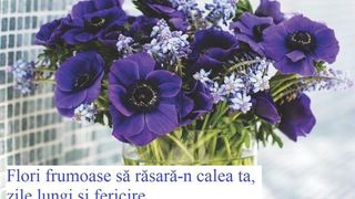 felicirăei de florii