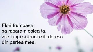 Poze cu flori şi mesaje frumoase de Florii 2022