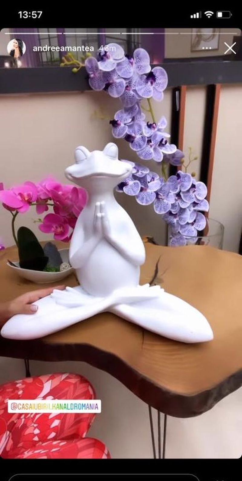 Andreea Mantea s-a îndrăgostit! Cine i-a furat inima prezentatoarei de la emisiunea Casa Iubirii: „M-am îndrăgostit, îl iubesc la nebunie” 