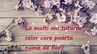 urări de Florii