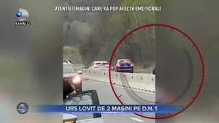Urs lovit de 2 mașini pe DN1