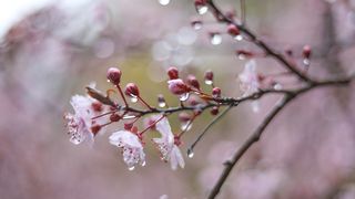 Vremea se răcește semnificativ &icirc;n toată ţara. Anunțul meteorologilor