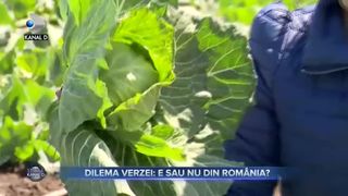 Dilema verzei- E sau nu din Rom&acirc;nia