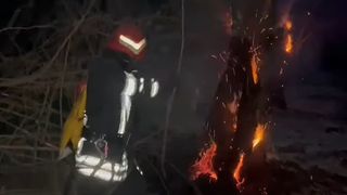 Incendiu de vegetație într-o zonă protejată din Delta Dunării. Flăcările s-au extins într-o zonă greu accesibilă