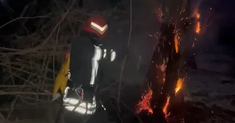 Incendiu de vegetație într-o zonă protejată din Delta Dunării. Flăcările s-au extins într-o zonă greu accesibilă