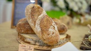 Inspecția Muncii a amendat cu 770.000 de lei  angajatorii din panificație cu munca nedeclarată