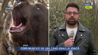 Copii mușcați de urs c&acirc;nd erau la joacă