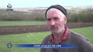 Copii atacați de urs