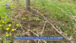 Iarna din Aprilie a distrus livezile