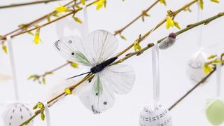 VIDEO - Cumpărături pentru Paște în târgurile tradiționale. Vezi care sunt prețurile