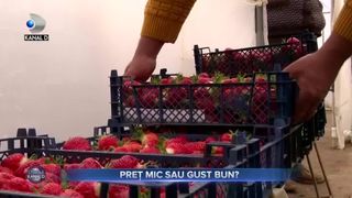 Pret mic sau gust bun