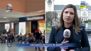 Vacanta ratata in Egipt