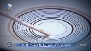 Cu o frunză nu se face... promovare