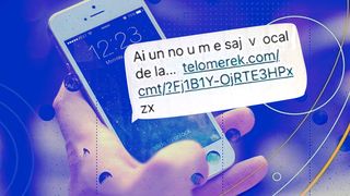 VIDEO - Poliția avertizează populația. Atenție la un mesaj de tip sms, primit de utilizatorii serviciilor de telefonie din România