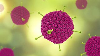 Adenovirusul este posibila cauză a cazurilor misterioase de hepatită la copii