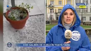 Cod galben de vijelii &icirc;n toată țara