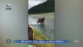 Relaxați, deși ursul alerga spre ei