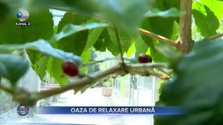 Oaza de relaxare urbană