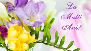 urări și mesaje de la mulți ani