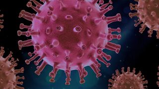 Părinții vor avea zile libere atunci când școala suspendă activititatea din cauza COVID-19